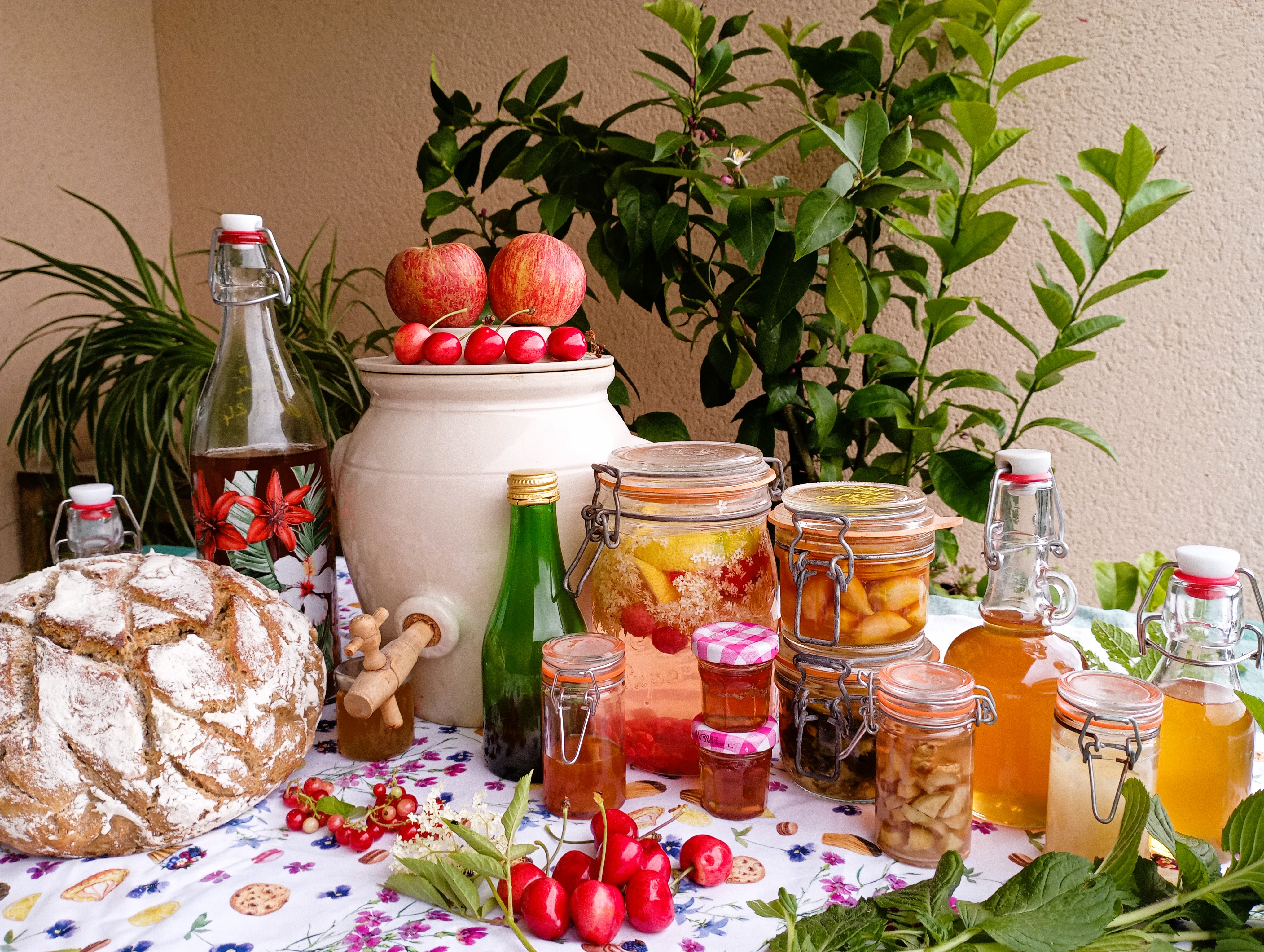Ateliers Alimentation Atypiques d'Astrid 
